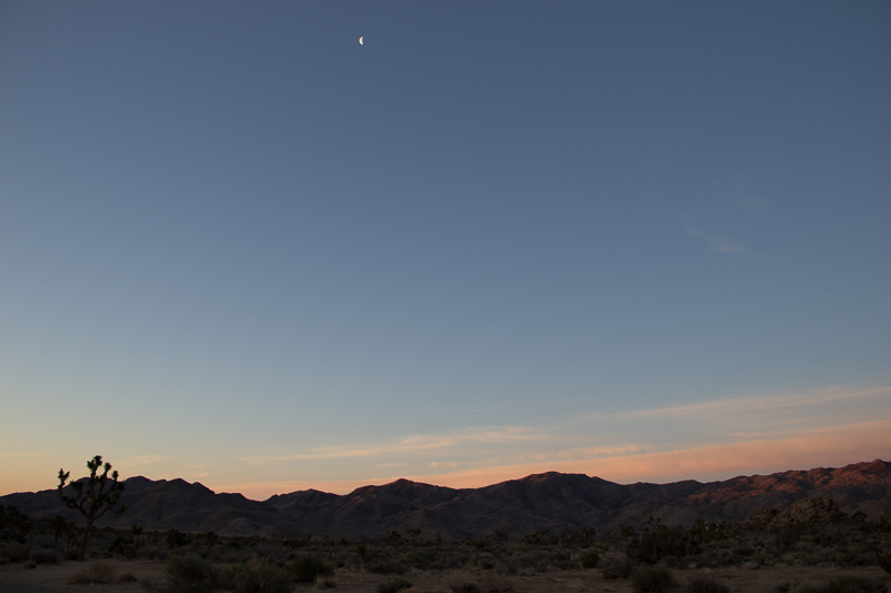 IMG_1208.jpg - Joshua Tree NP, CA