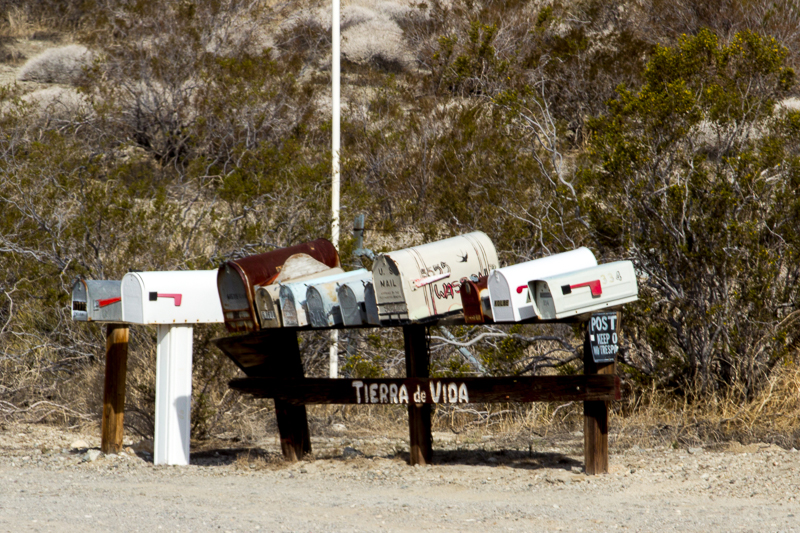 IMG_1299.jpg - California Desert