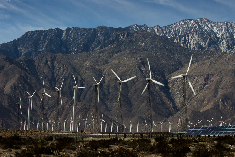 IMG_1307.jpg - California Desert