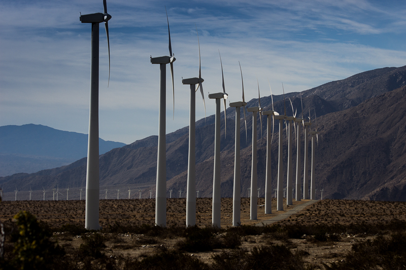 IMG_1314.jpg - California Desert