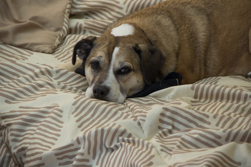 IMG_1323.jpg - Miss Penny