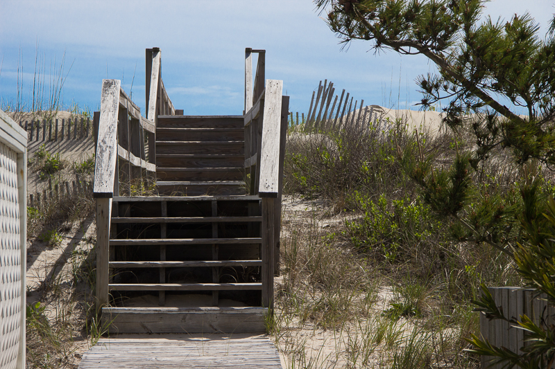 IMG_1499.jpg - Outer Banks, NC