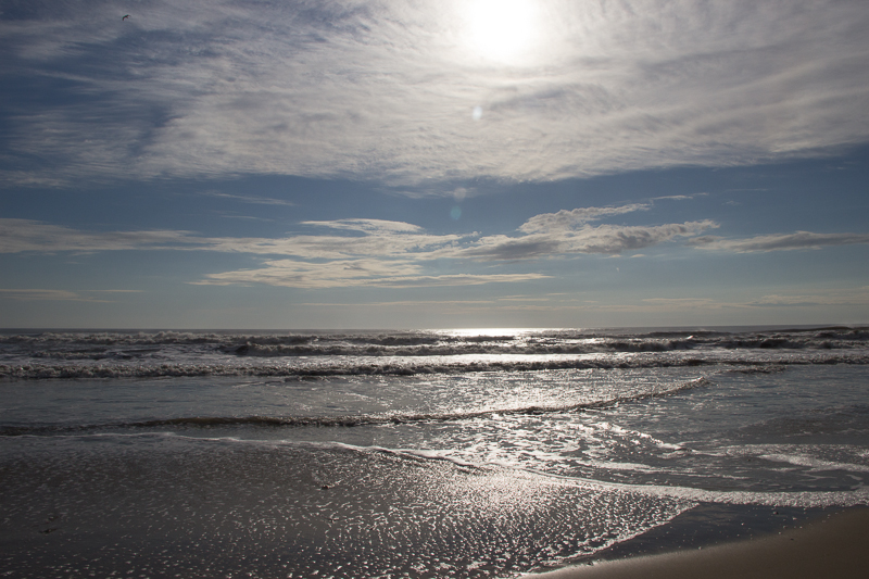 IMG_1635.jpg - Outer Banks, NC