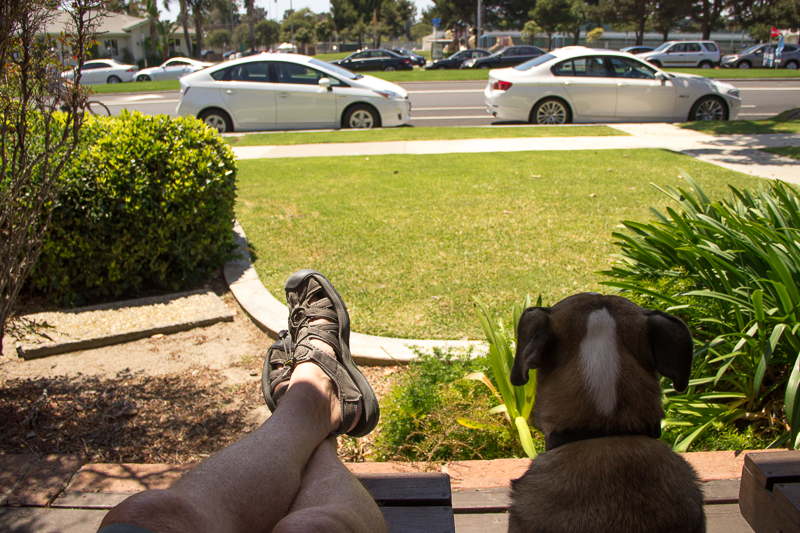 IMG_2595.jpg - Me & My Dawg
