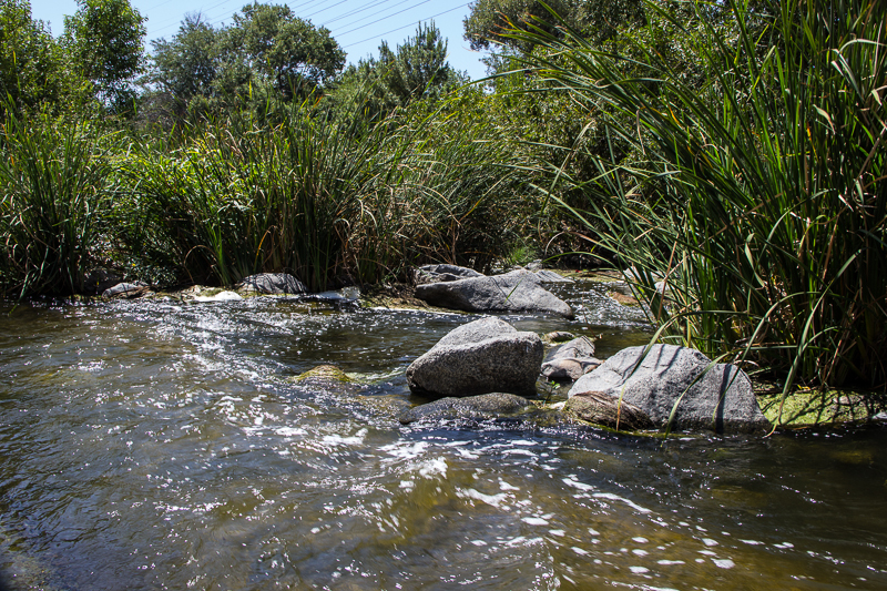 IMG_2822.jpg - LA River