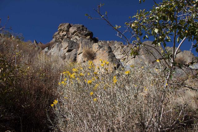 CSNV10.jpg - Hills above Carson City, NV