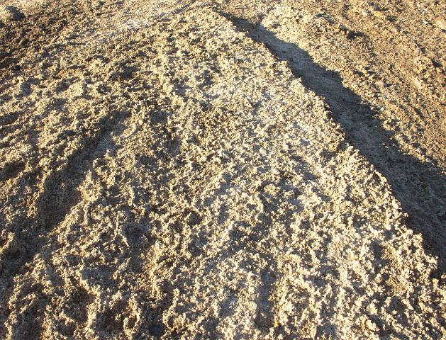 IMG_5456.jpg - Death Valley RT2014